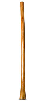 Gloss Finish Didgeridoo (TW852)